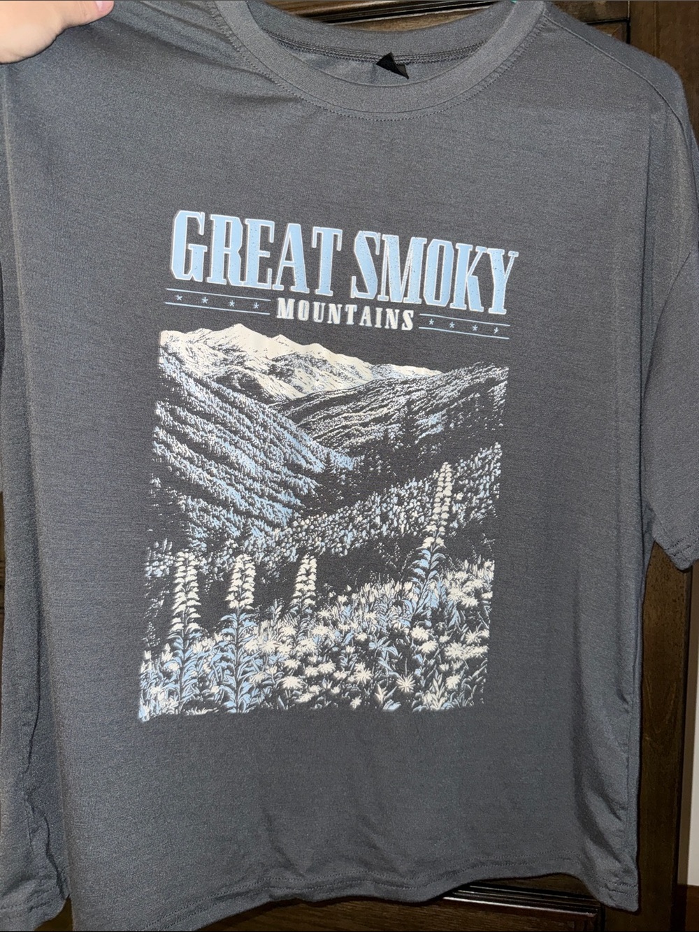 Great Smoky Mountains Graphic Tee - Charcoal